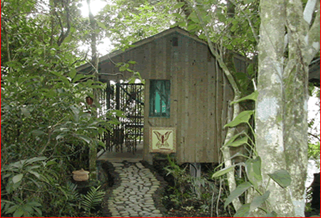 Caba�as En Nanciyaga