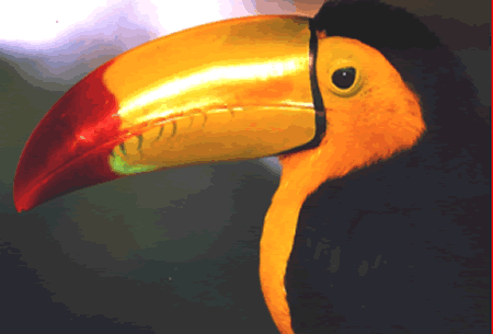 Nanciyaga